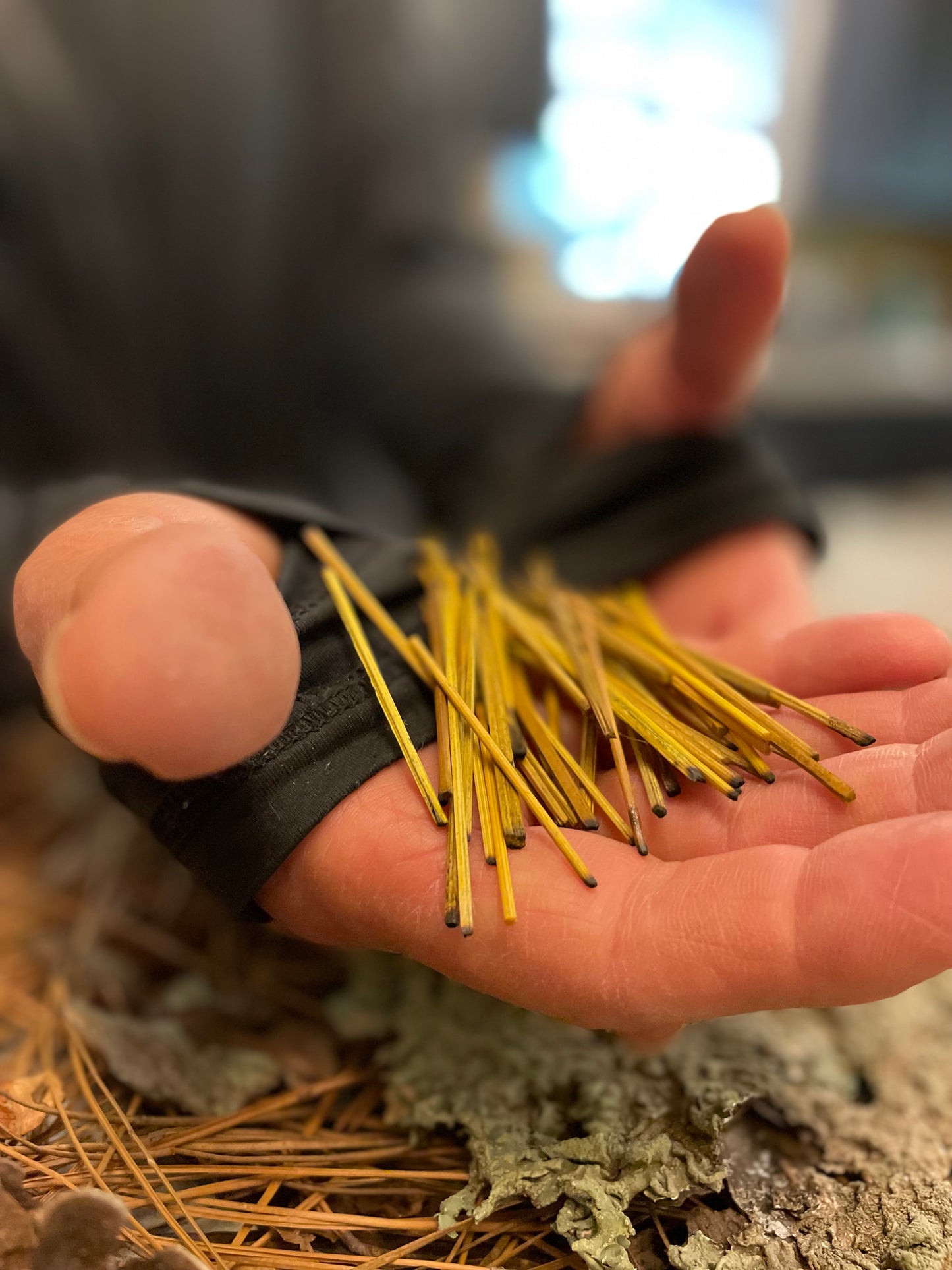 Piccadilly Serve De SuiteĀ® with Signature Burnš„